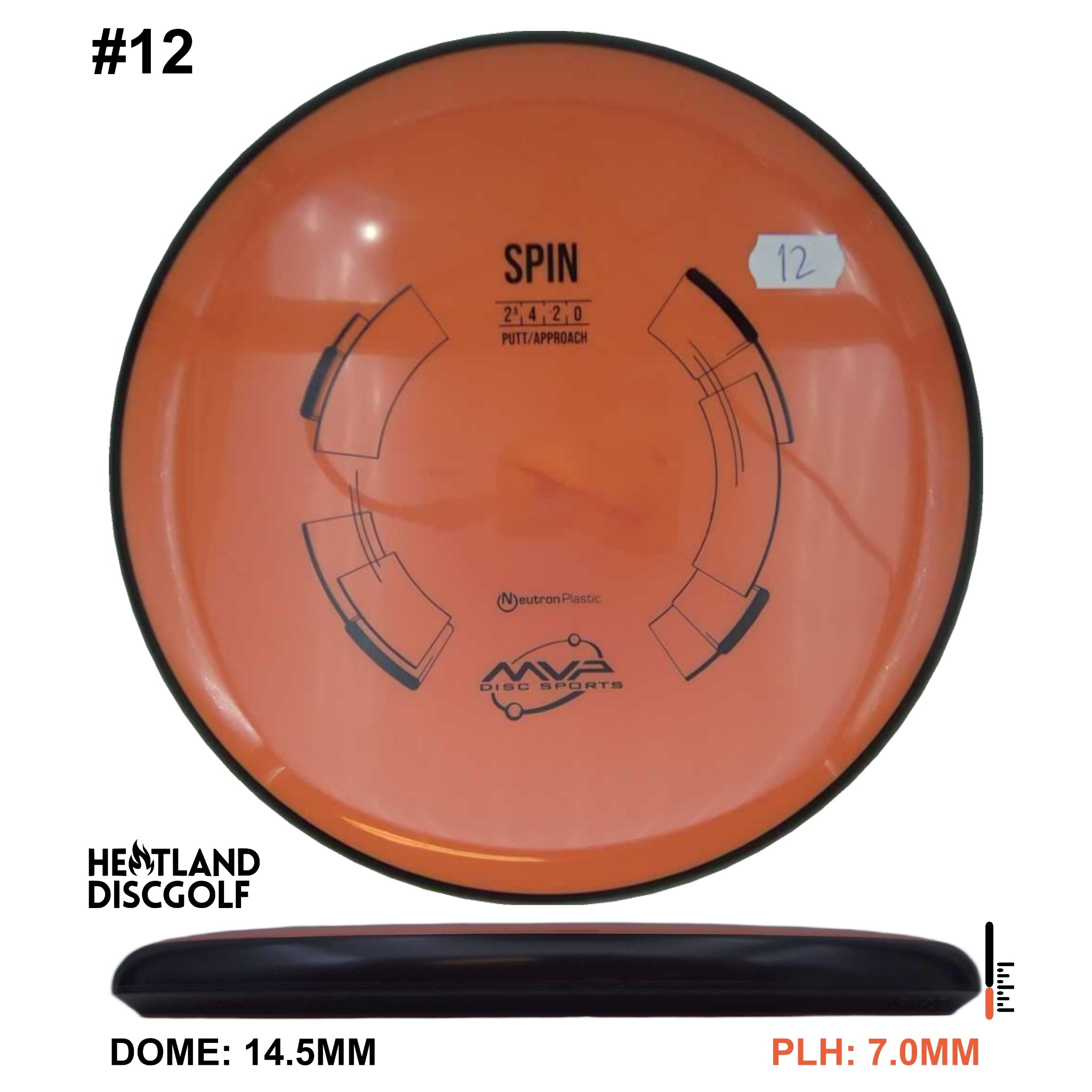 Neutron Spin - Classic