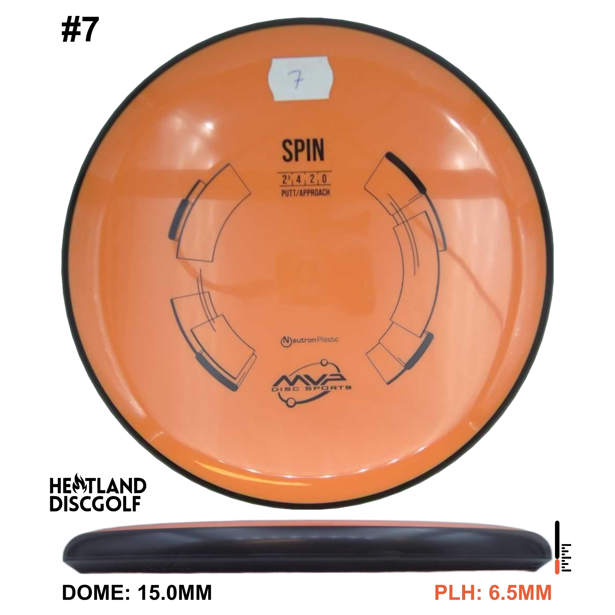 Neutron Spin