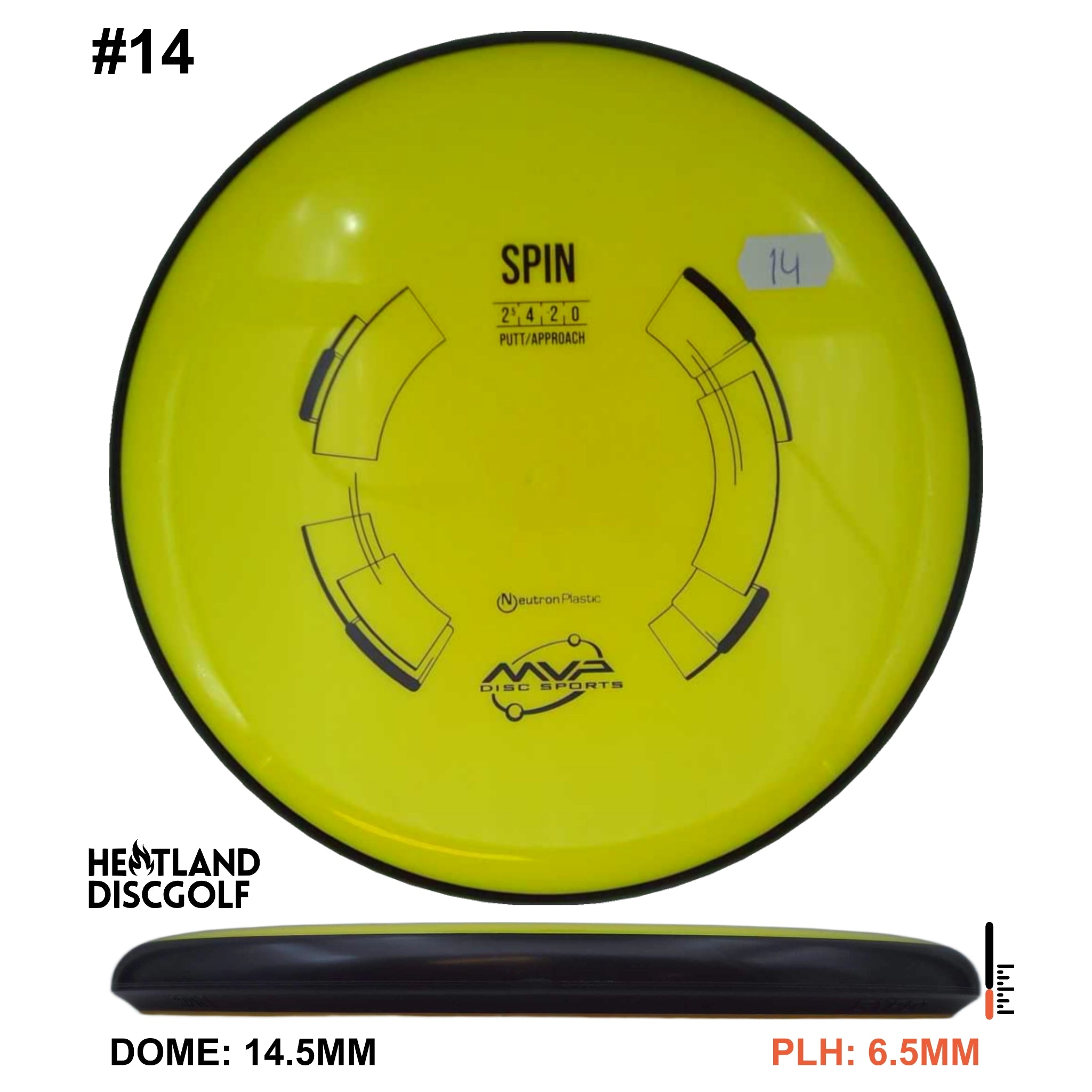 Neutron Spin - Classic