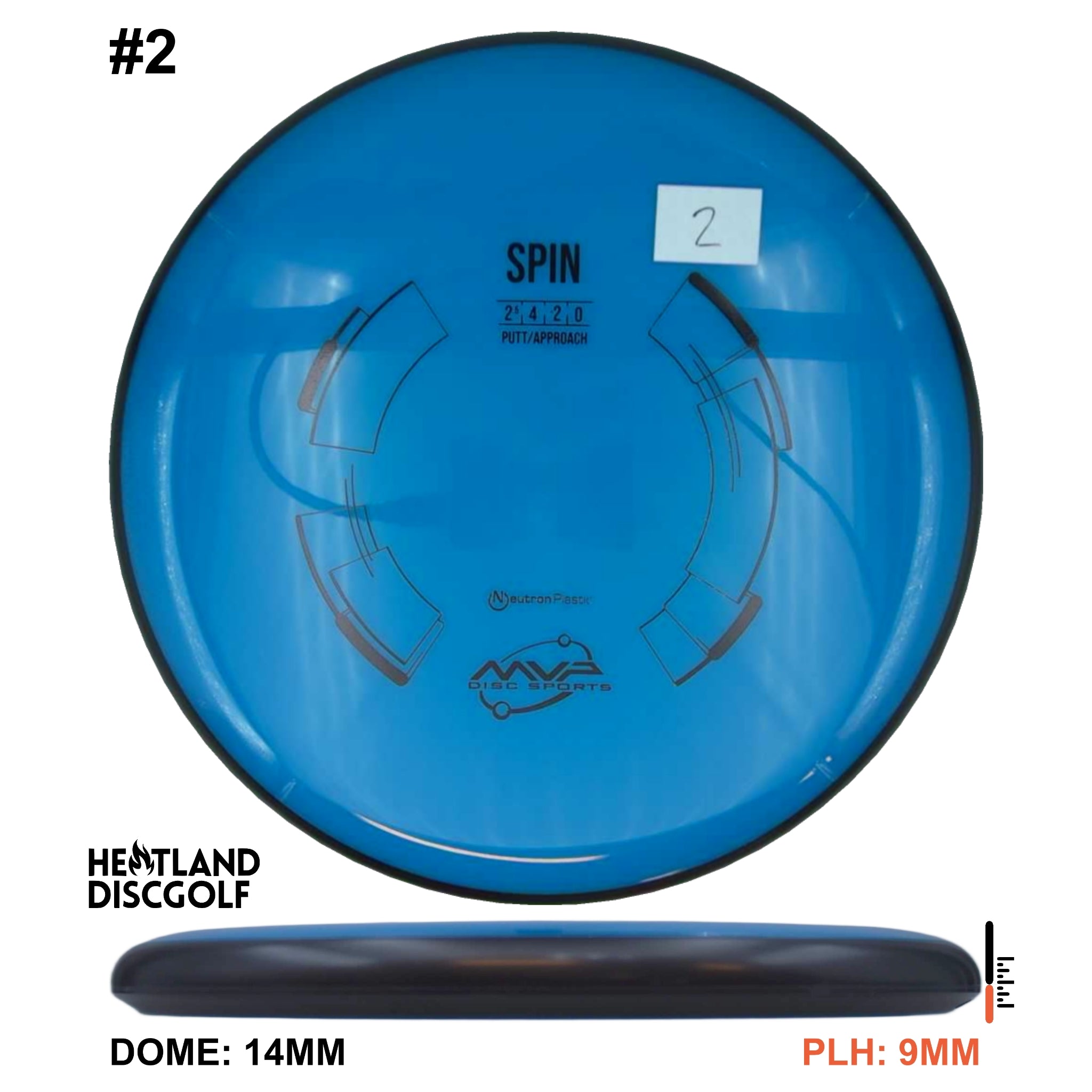 Neutron Spin