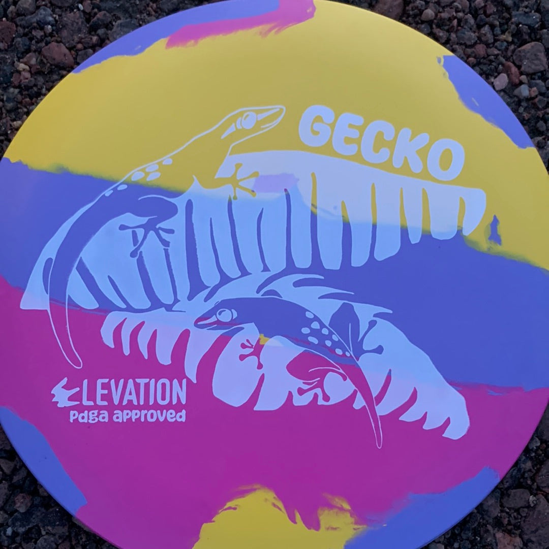 ecoFLEX Gecko Run 1