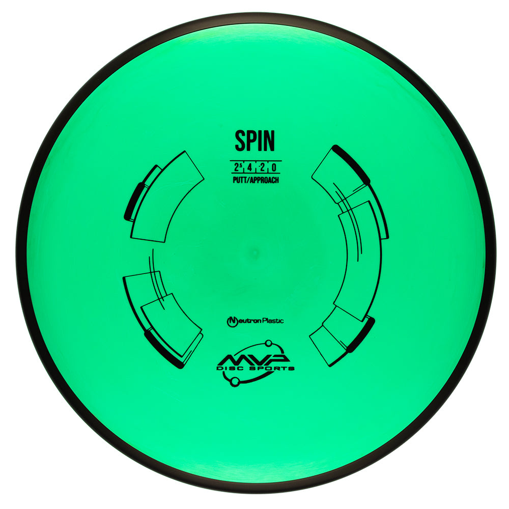 Neutron Spin