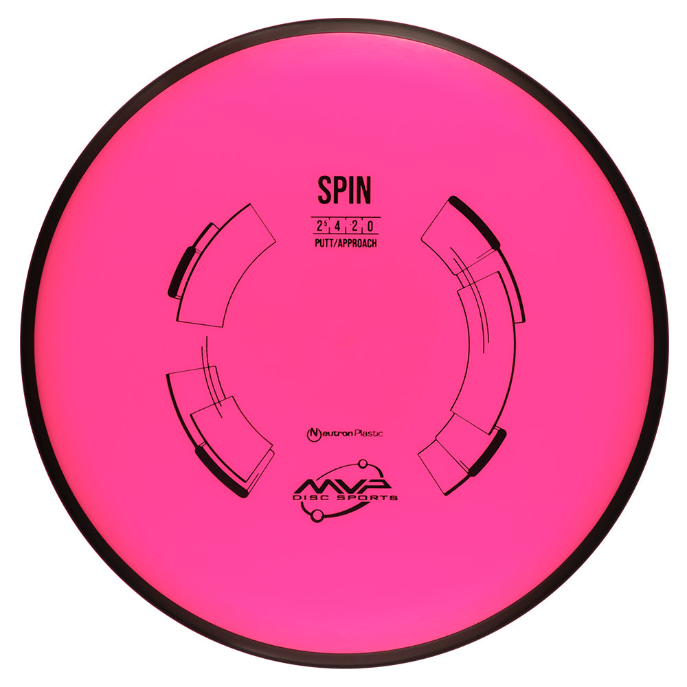 Neutron Spin