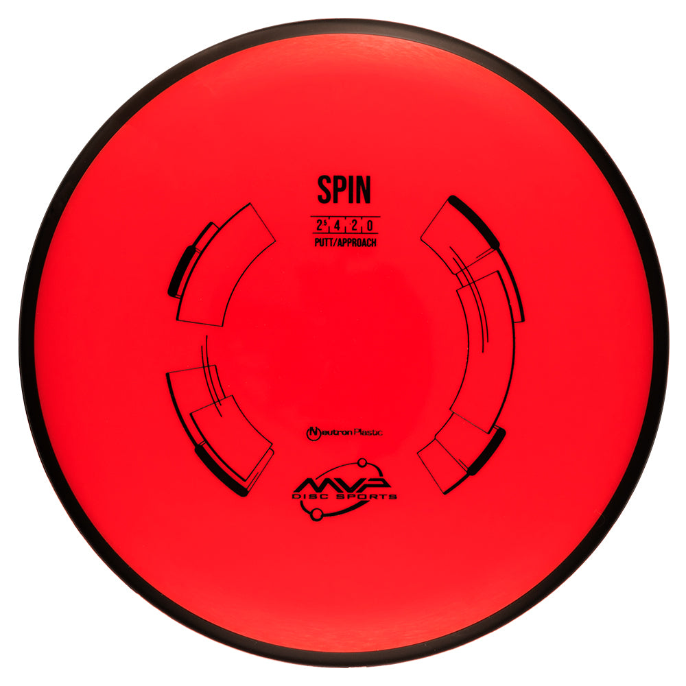 Neutron Spin