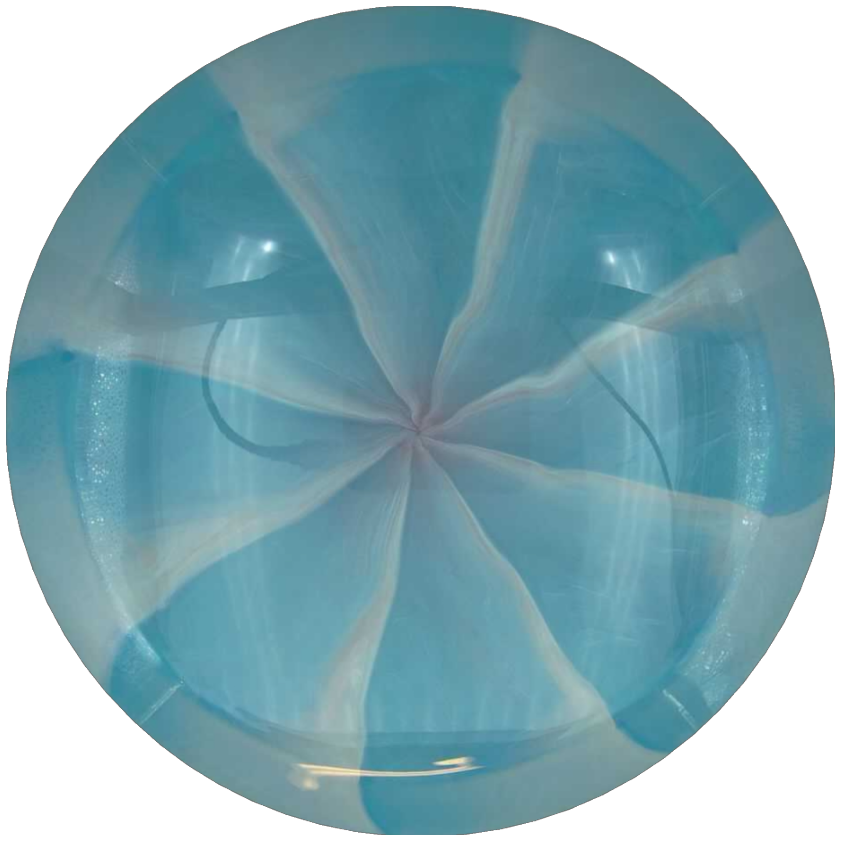 Cosmic Neutron Trace - Blank