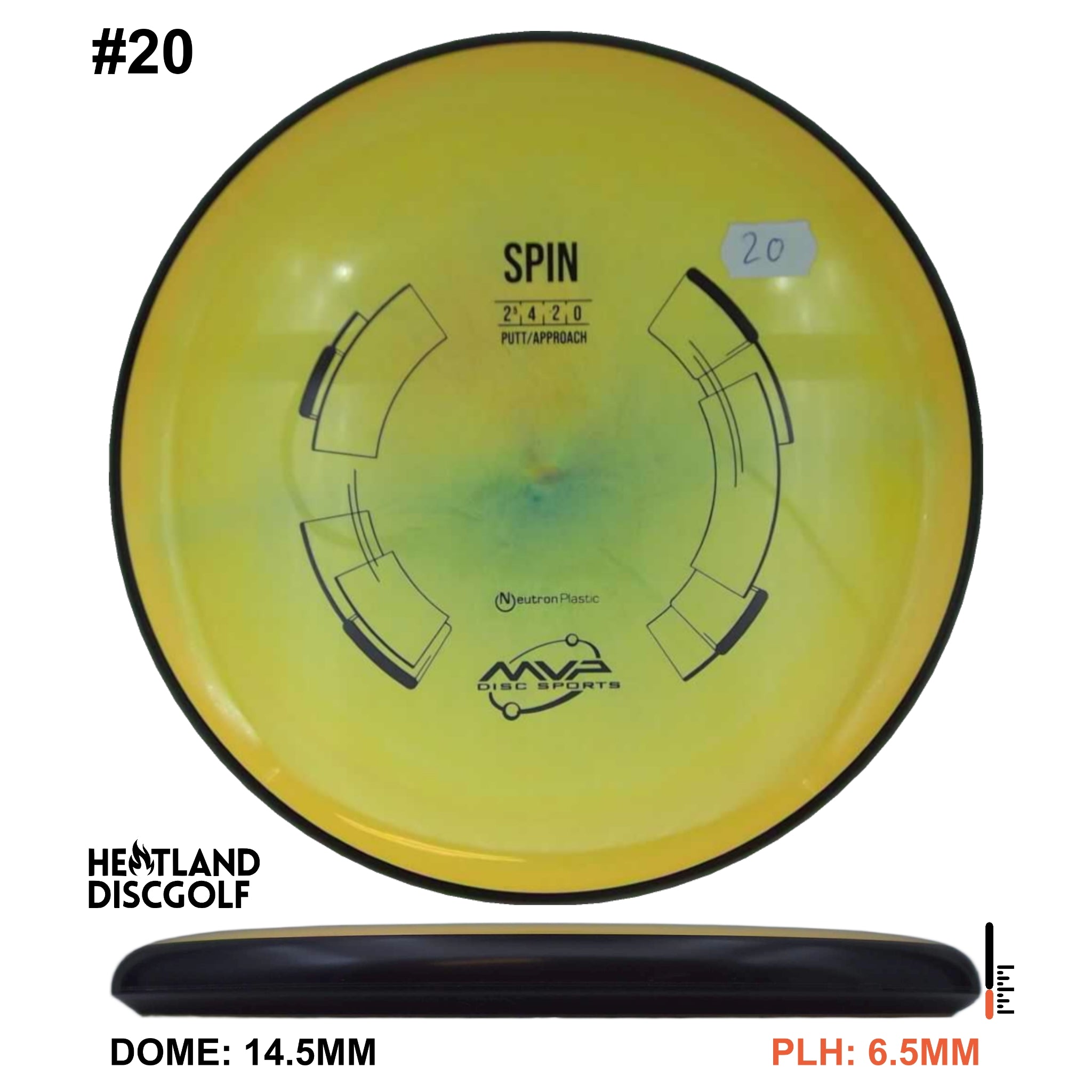 Neutron Spin - Classic
