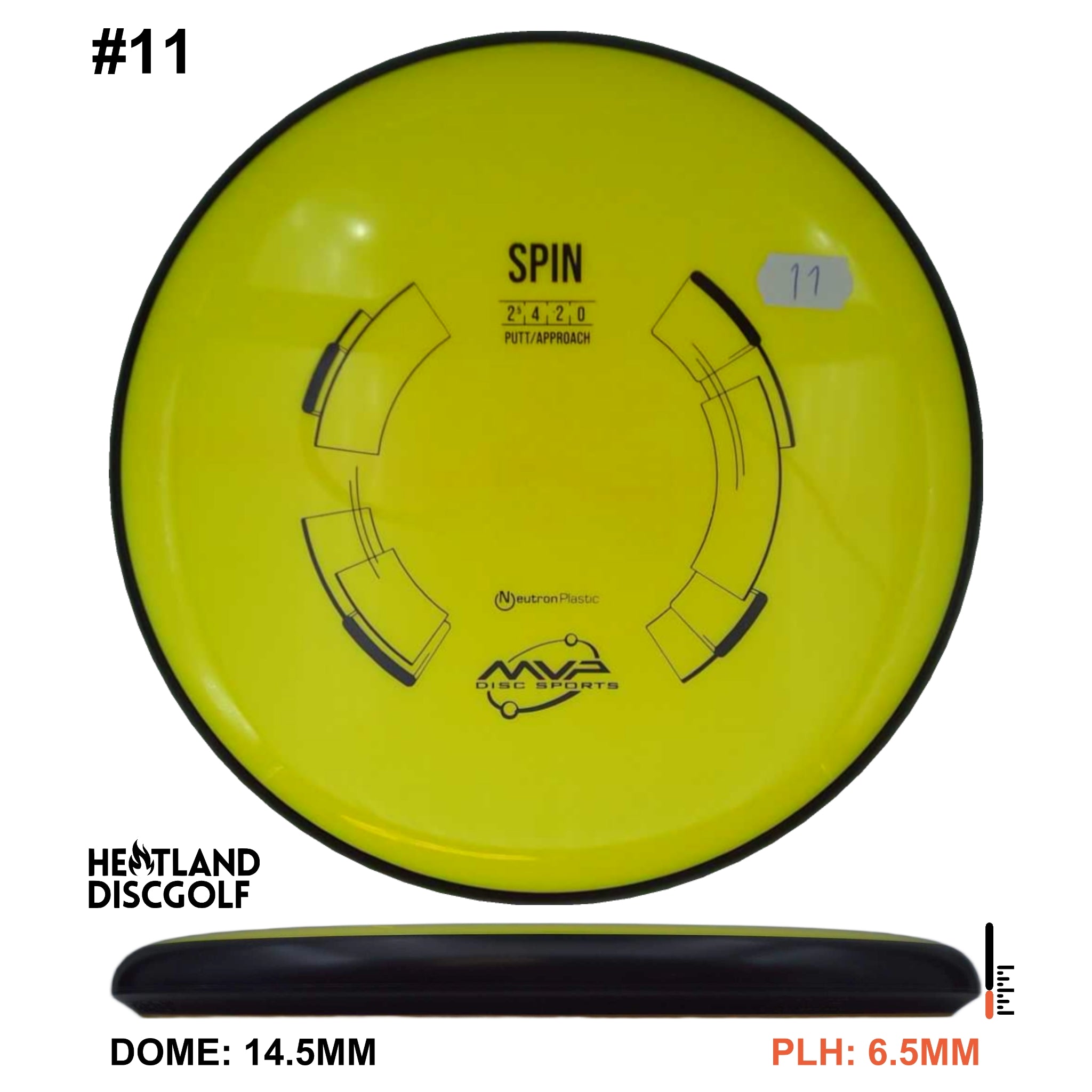 Neutron Spin - Classic