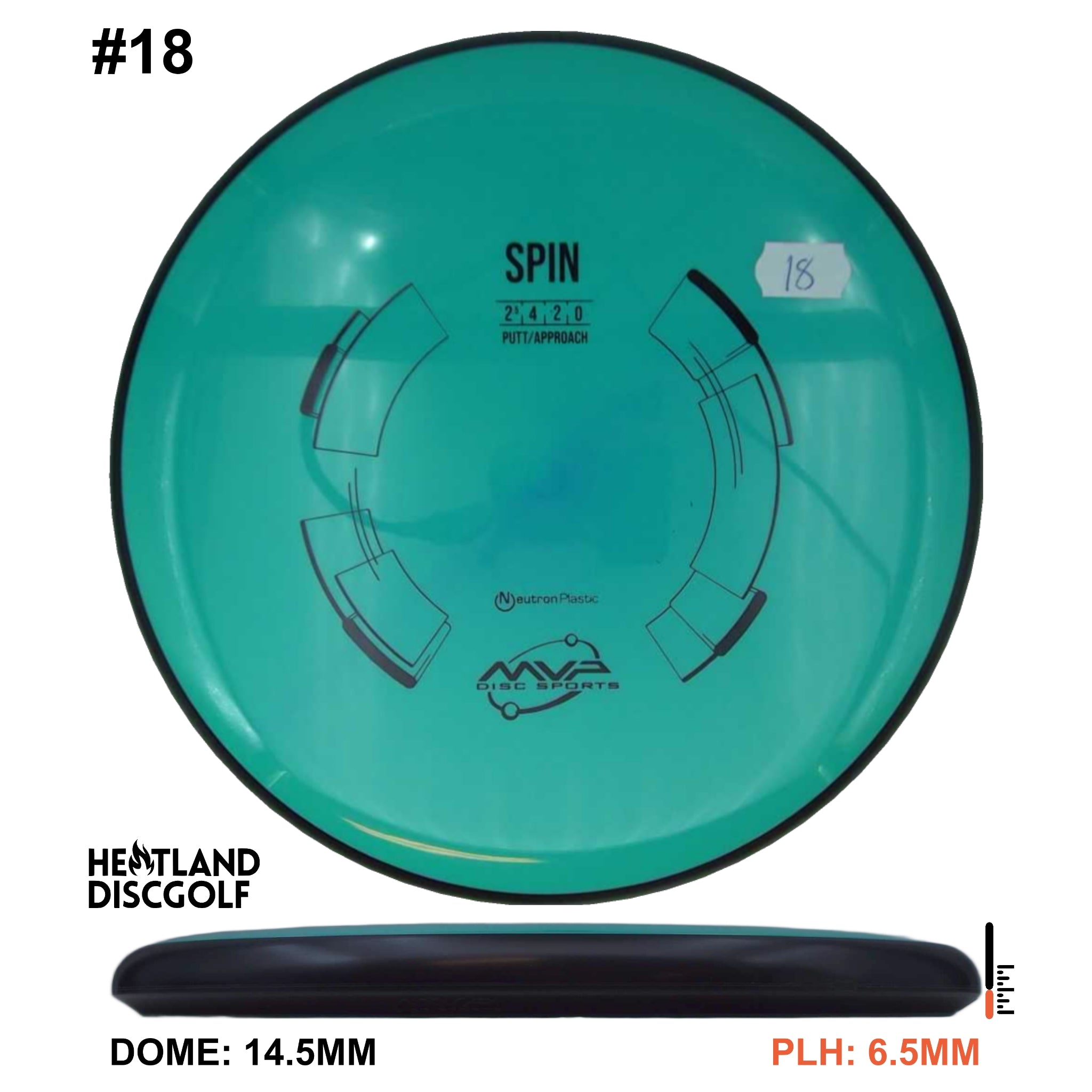 Neutron Spin - Classic