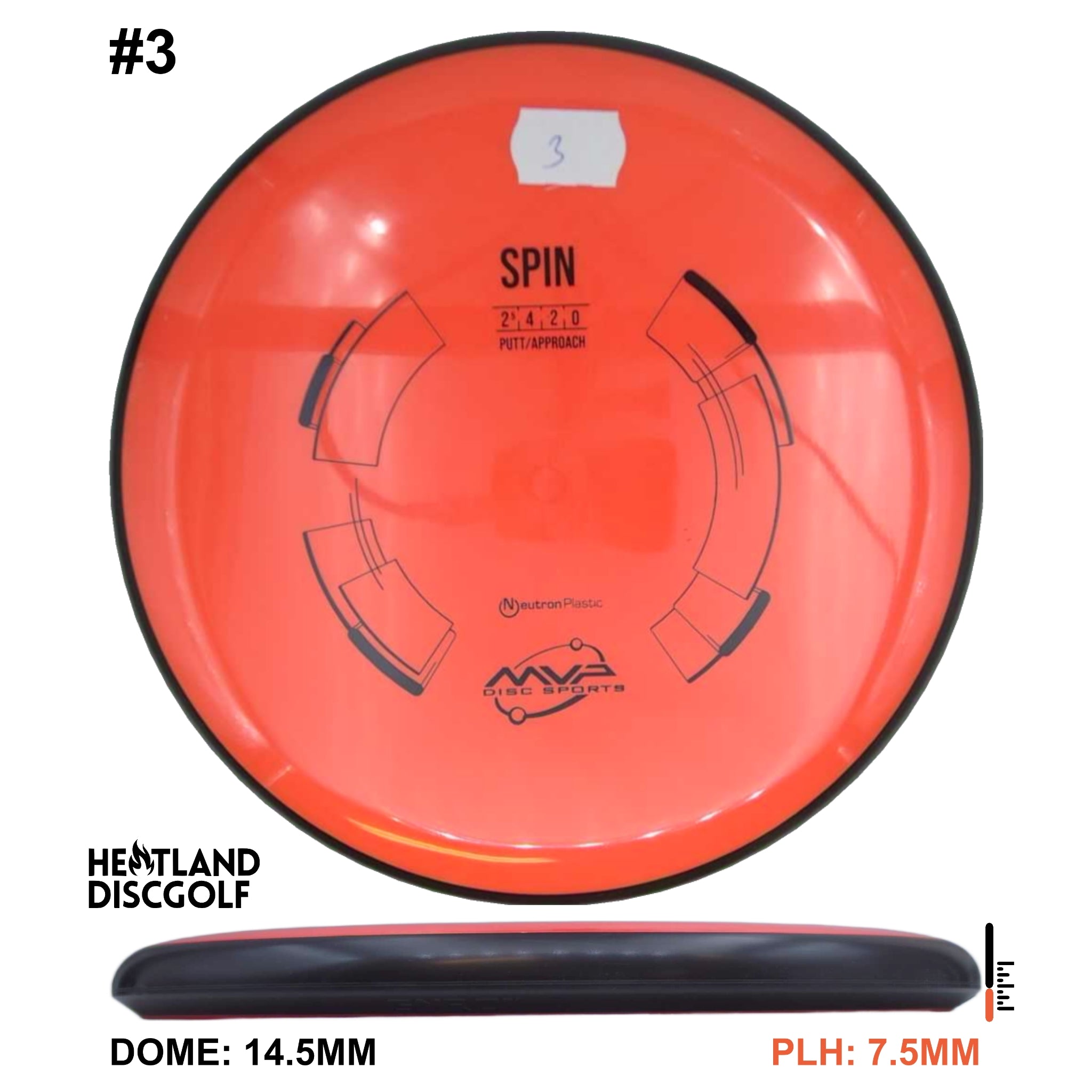 Neutron Spin