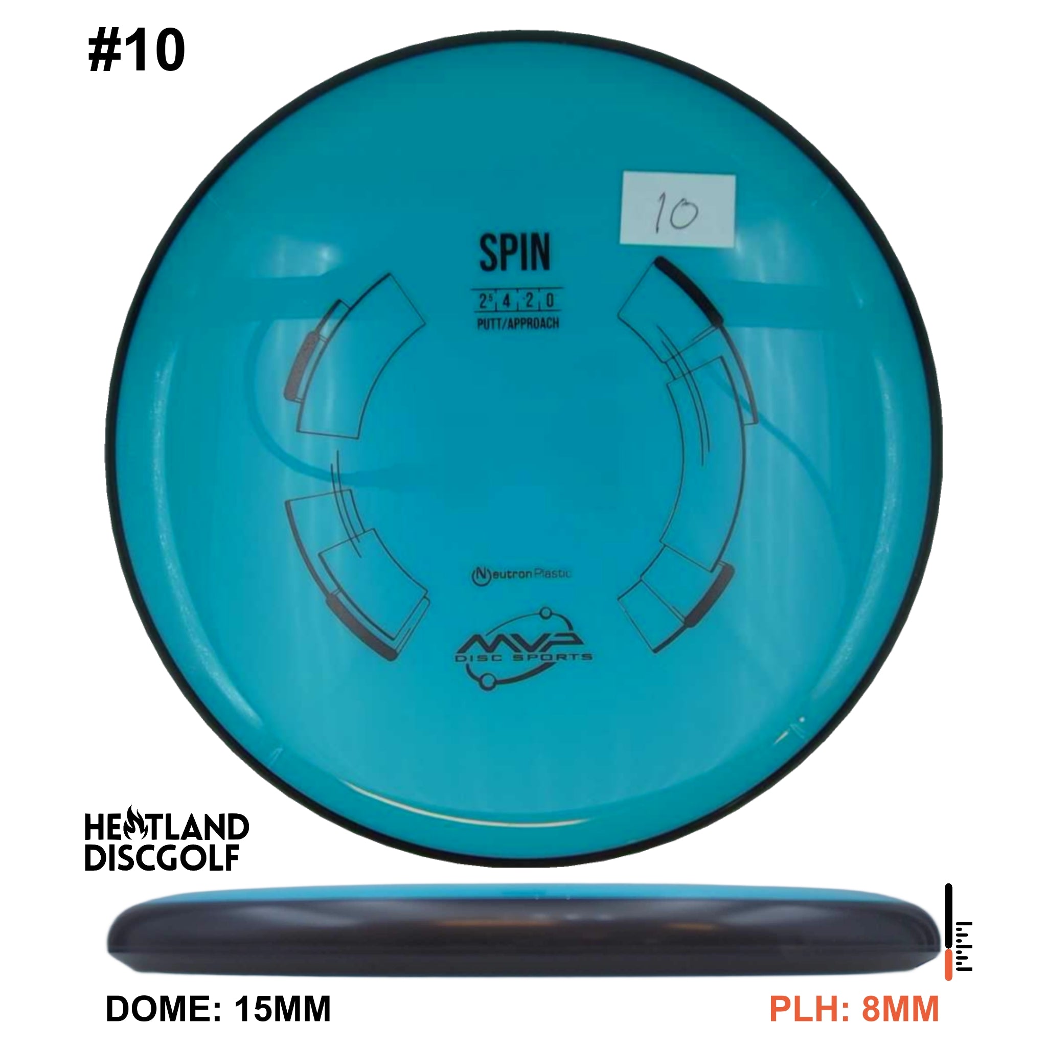 Neutron Spin