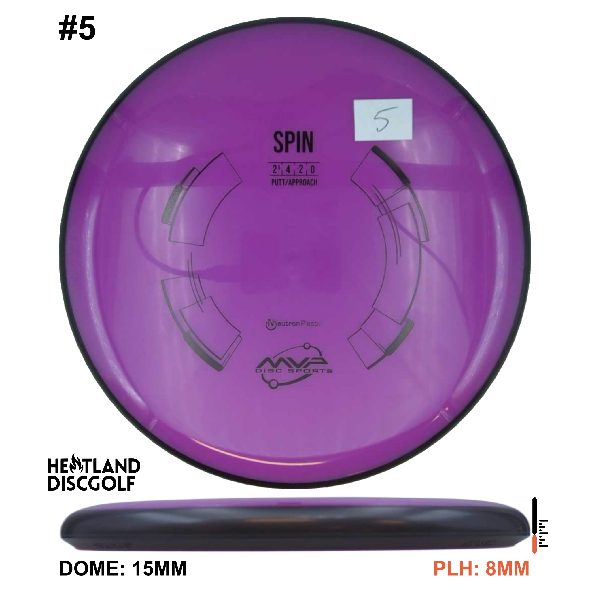 Neutron Spin