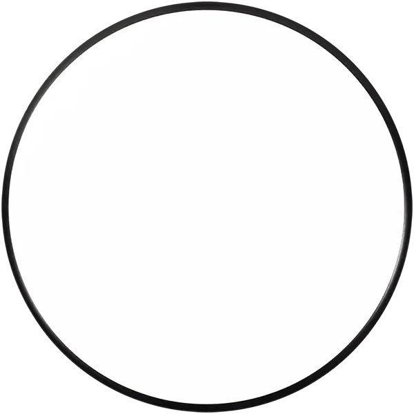 Neutron Servo Blank
