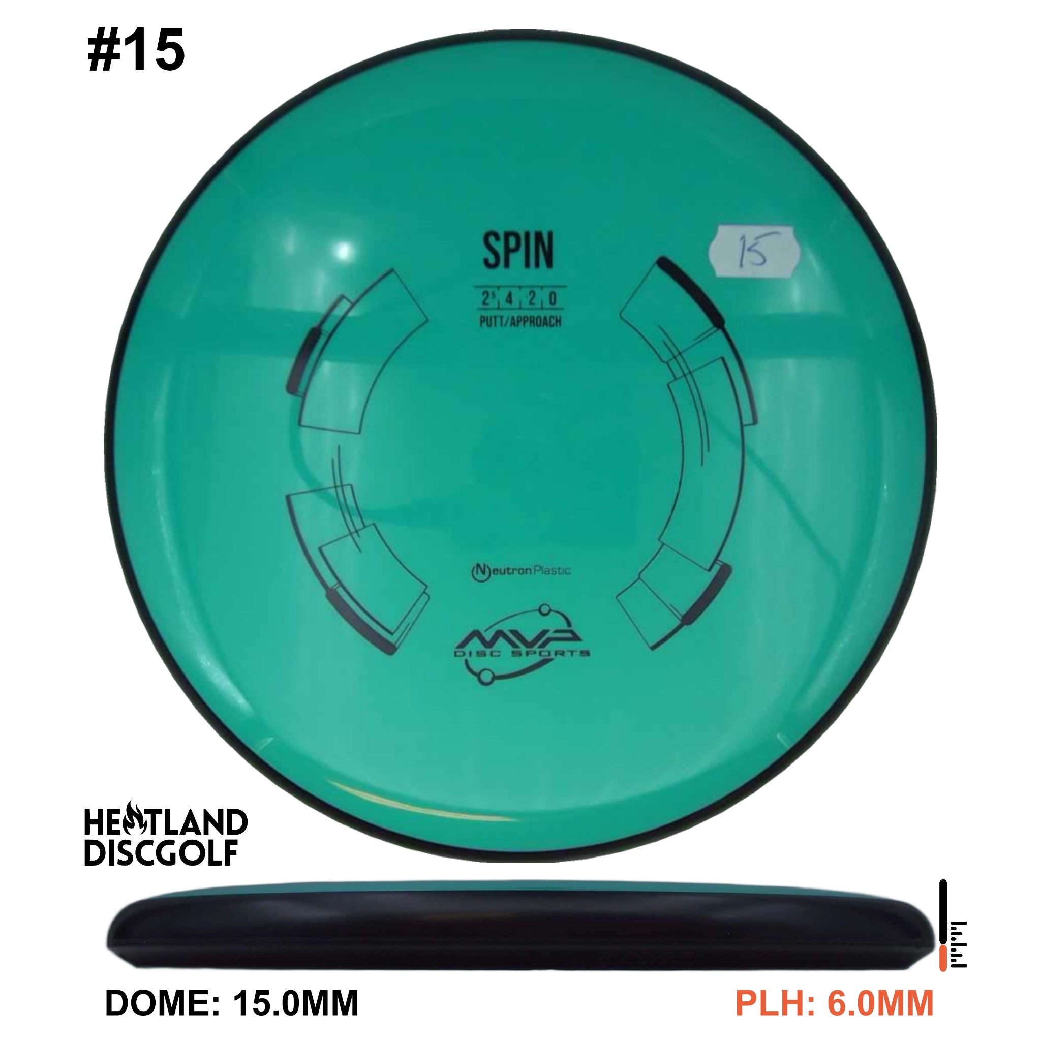 Neutron Spin - Classic