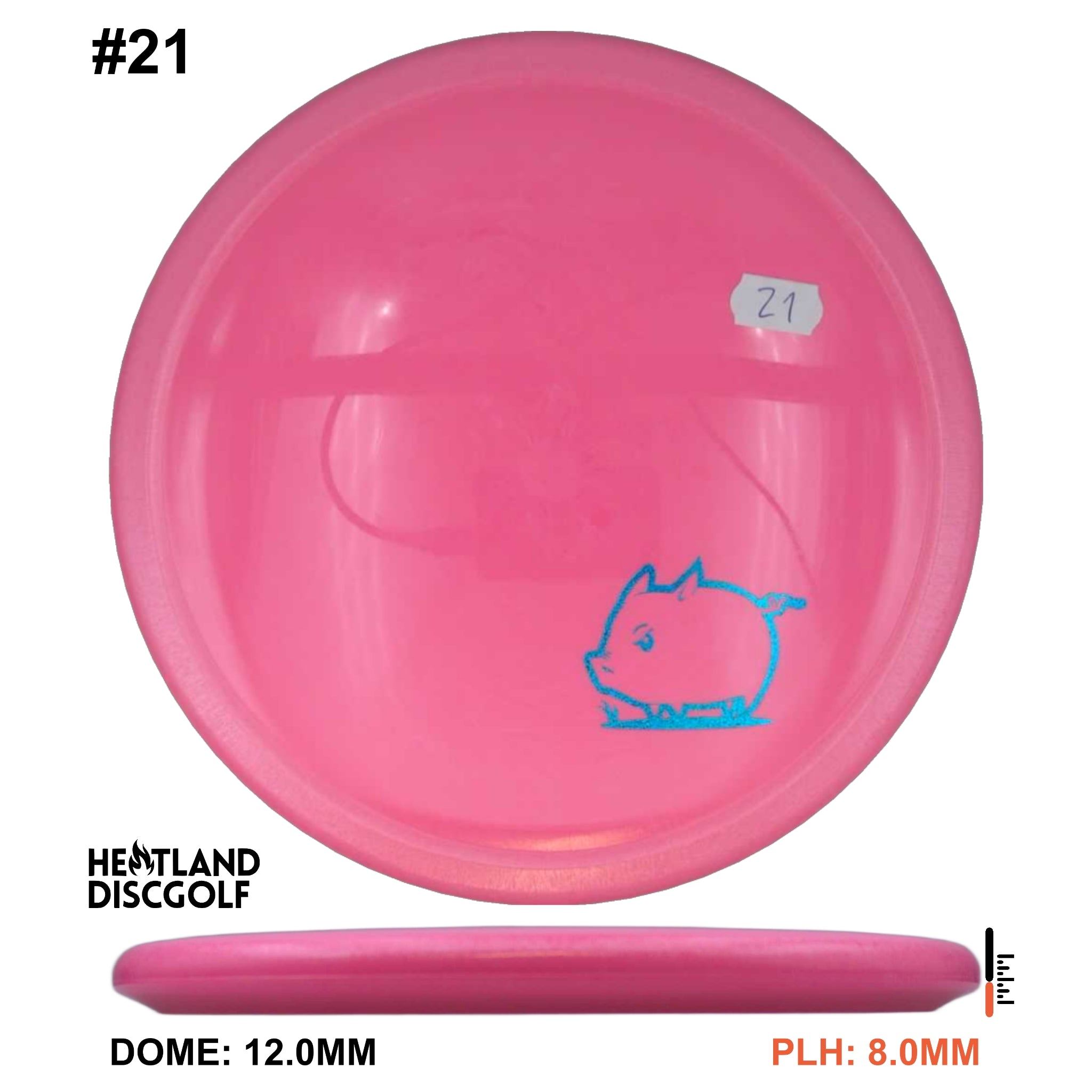 Star Pig - Mini Pig