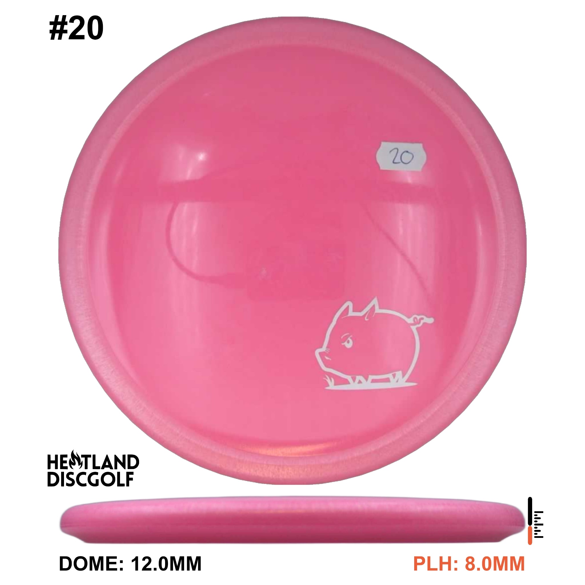 Star Pig - Mini Pig