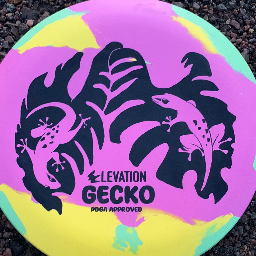 ecoSUPERFLEX Gecko Run 1