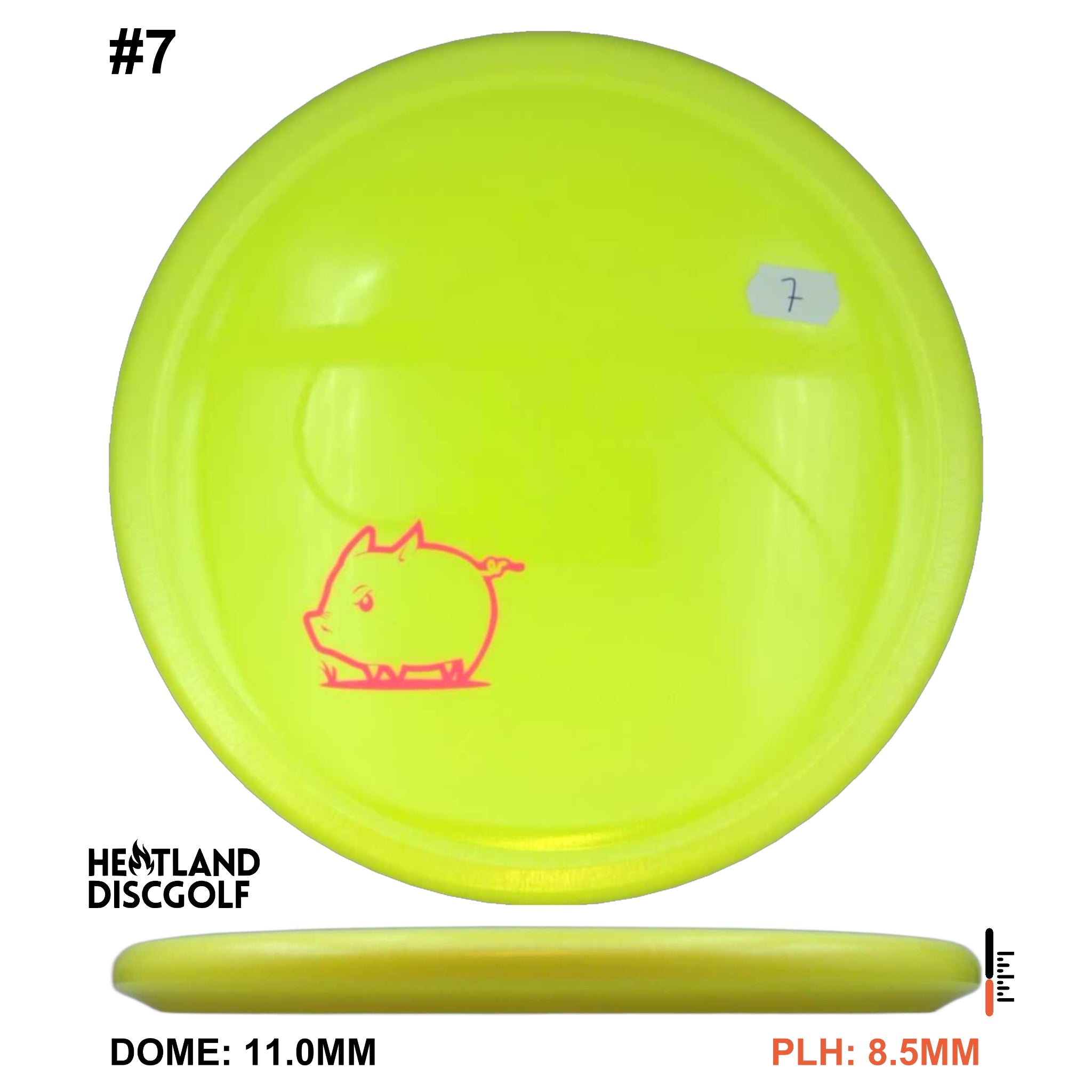 Star Pig - Mini Pig