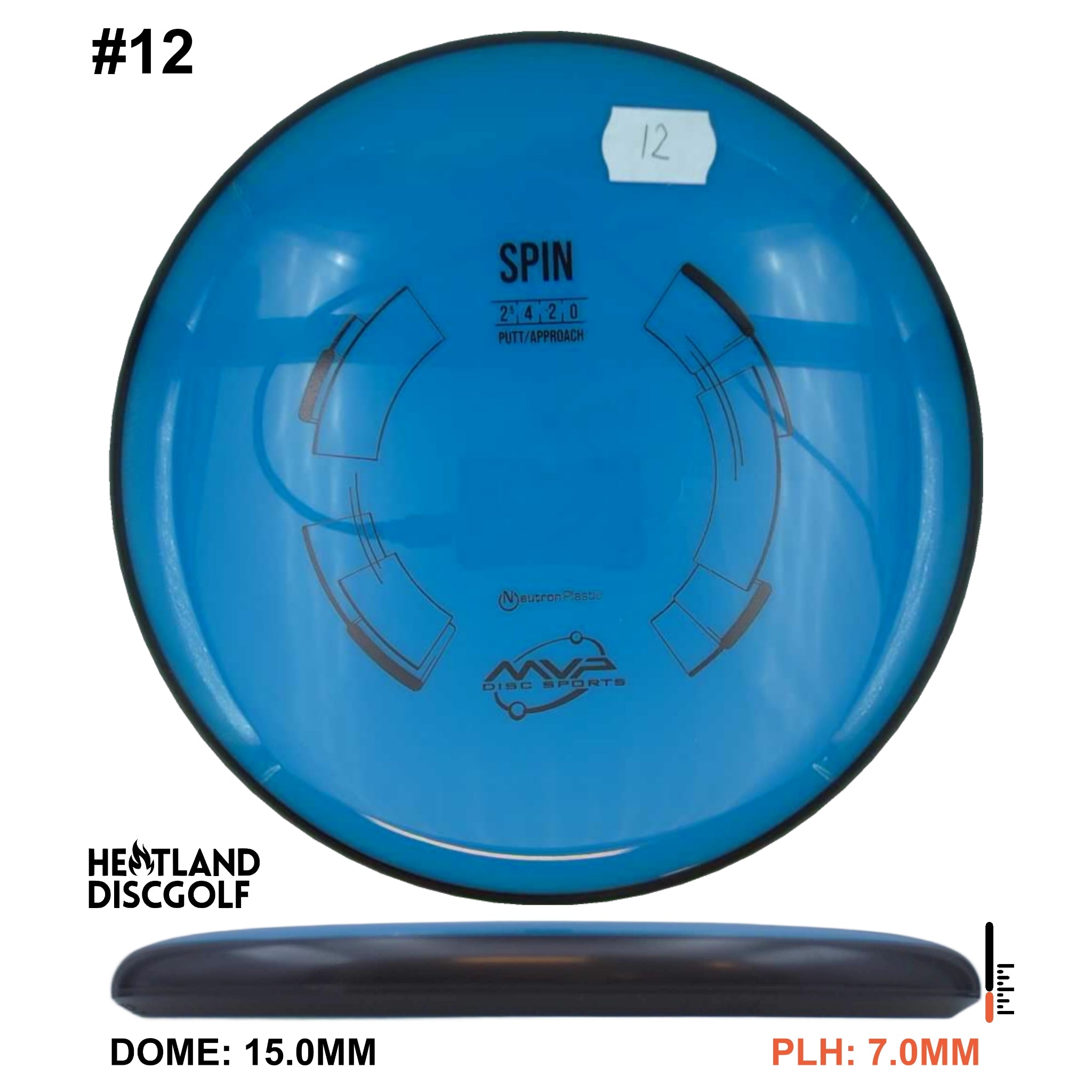 Neutron Spin