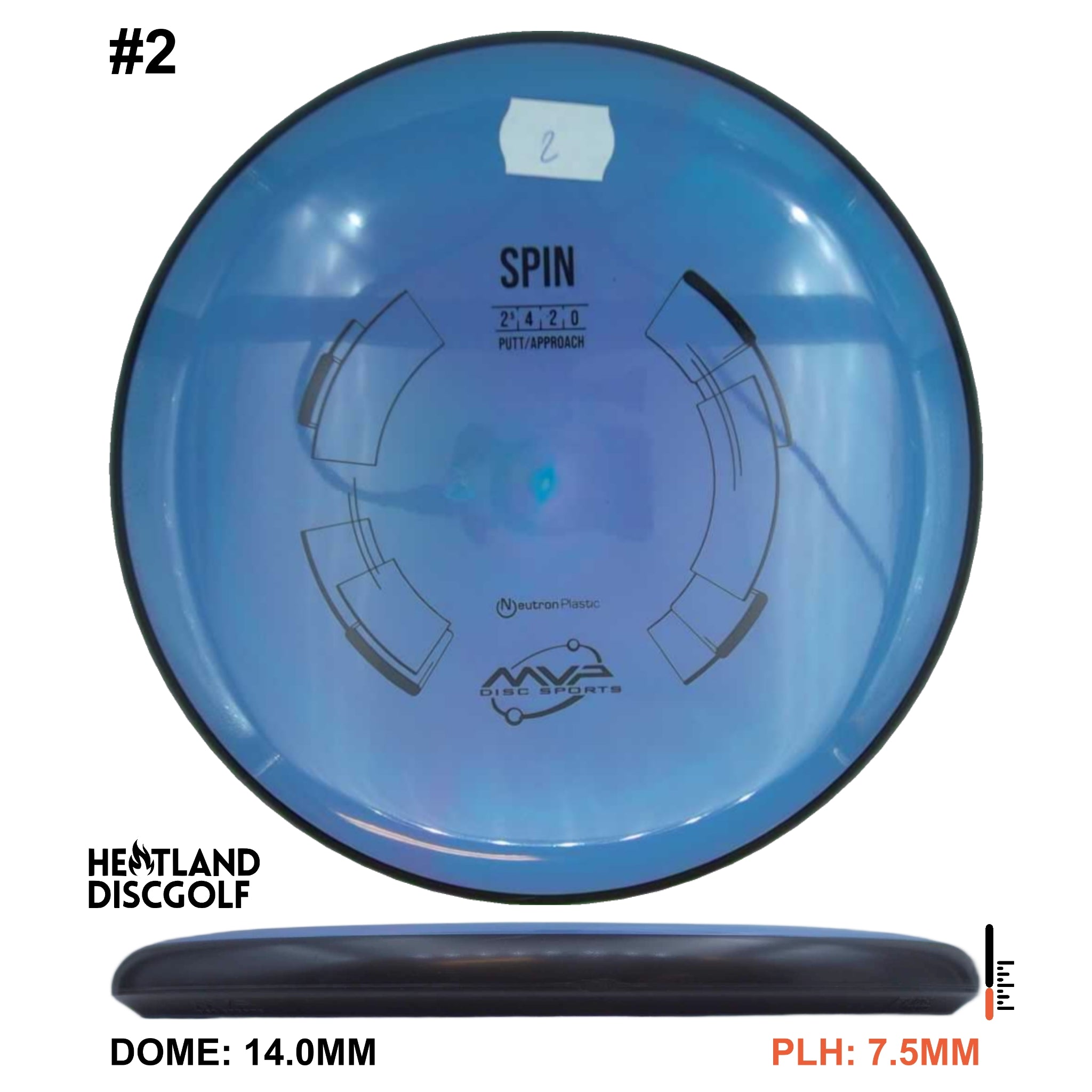 Neutron Spin