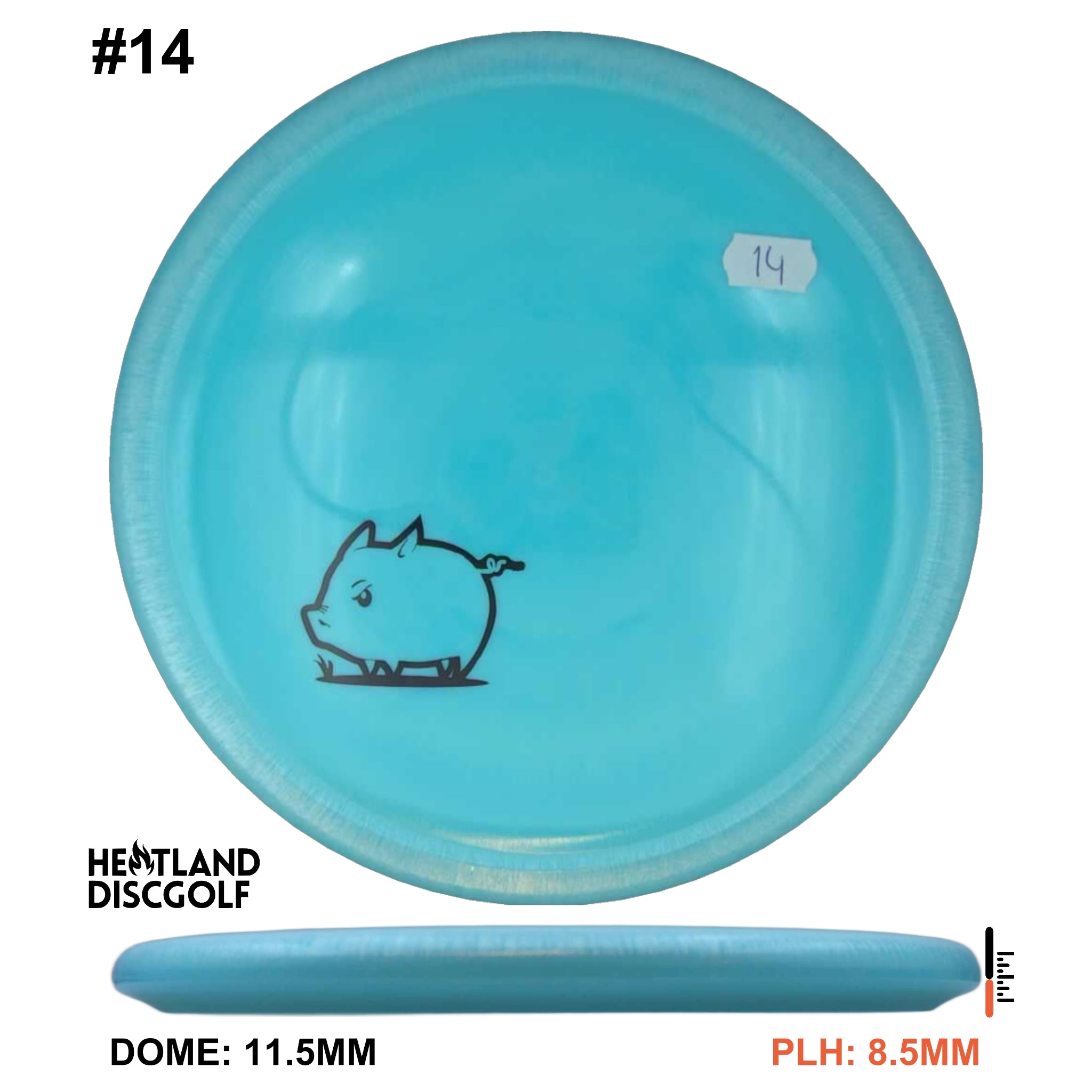 Star Pig - Mini Pig