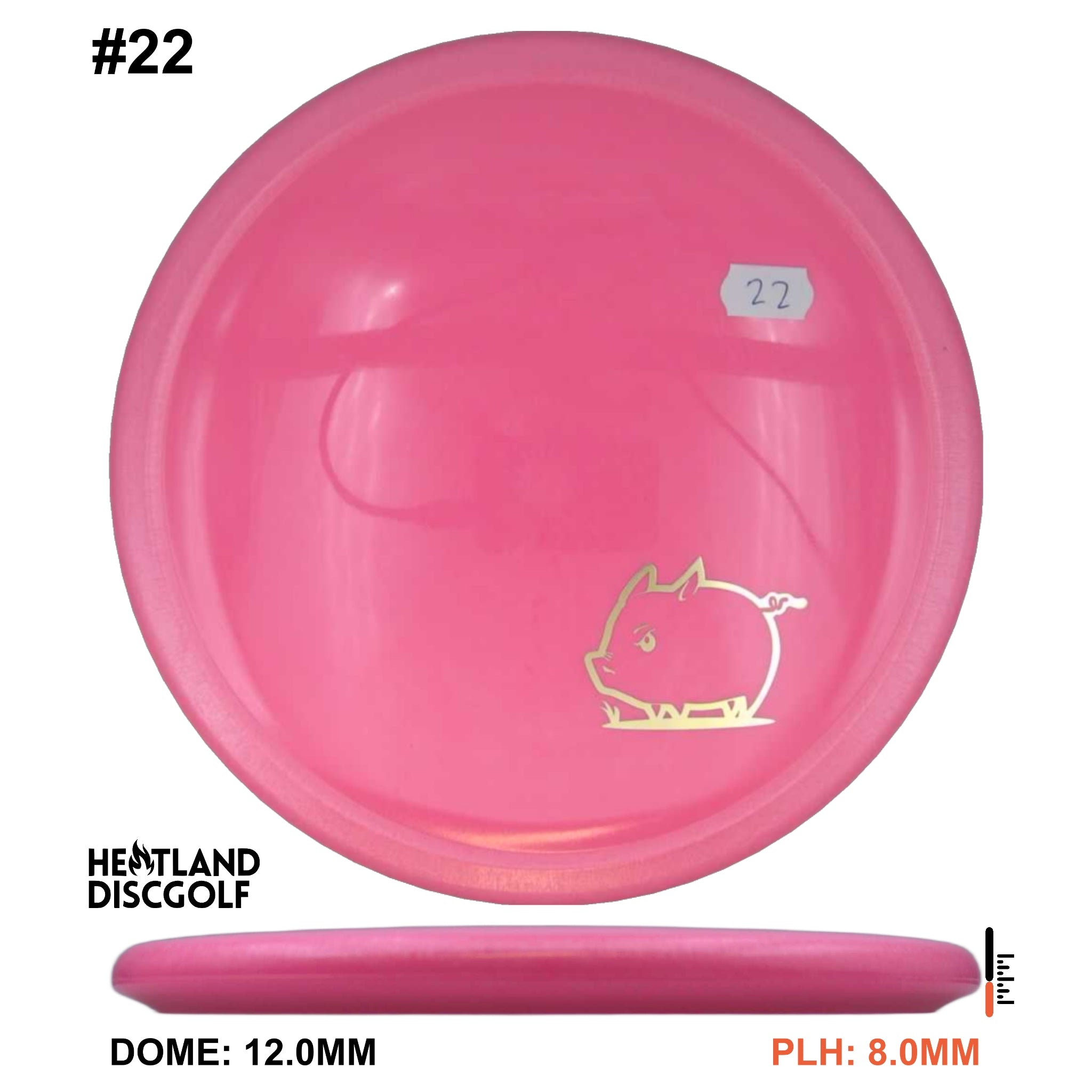 Star Pig - Mini Pig