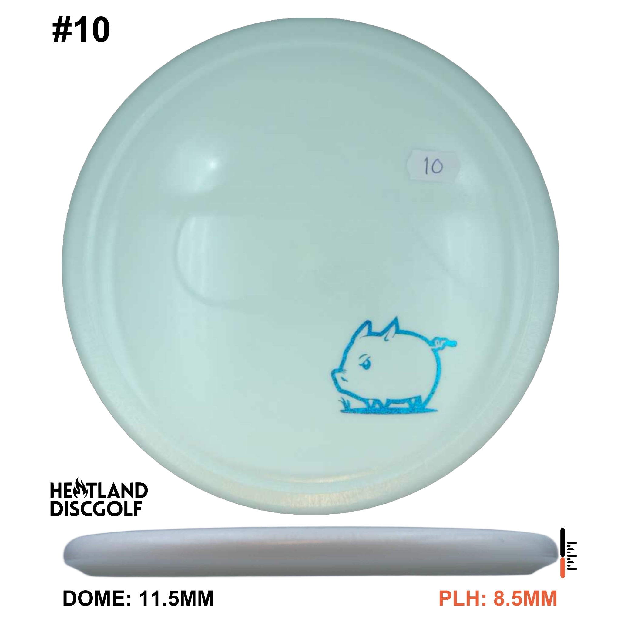 Star Pig - Mini Pig