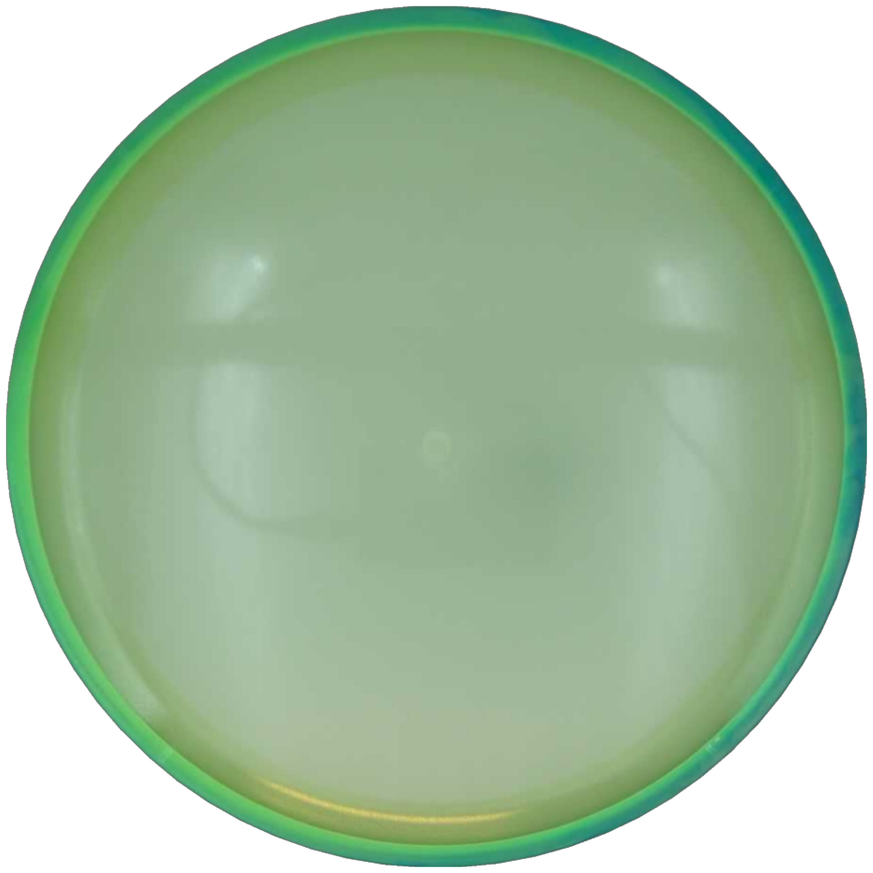 Eclipse Crave - Blank