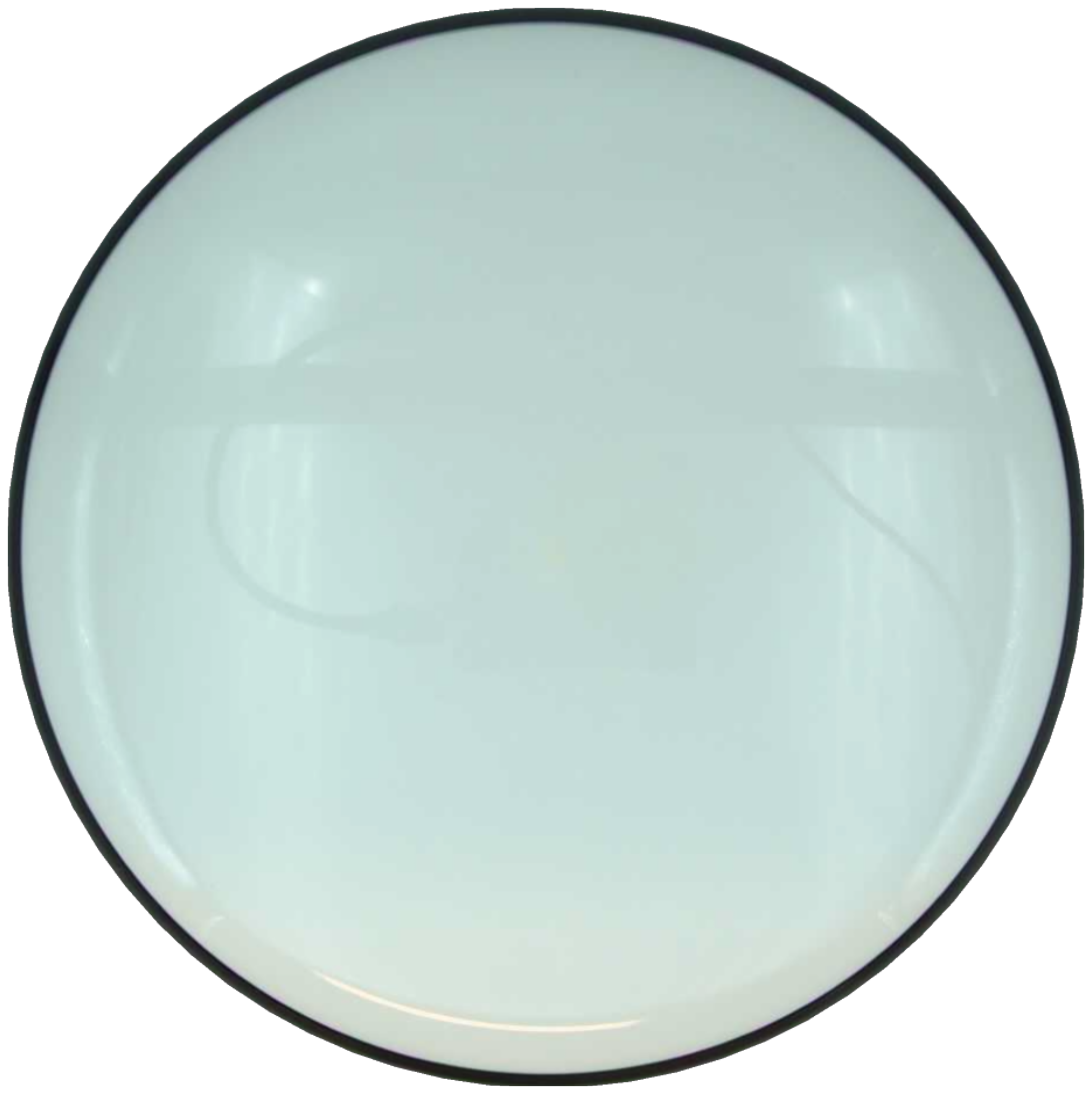 Neutron Spin Blank