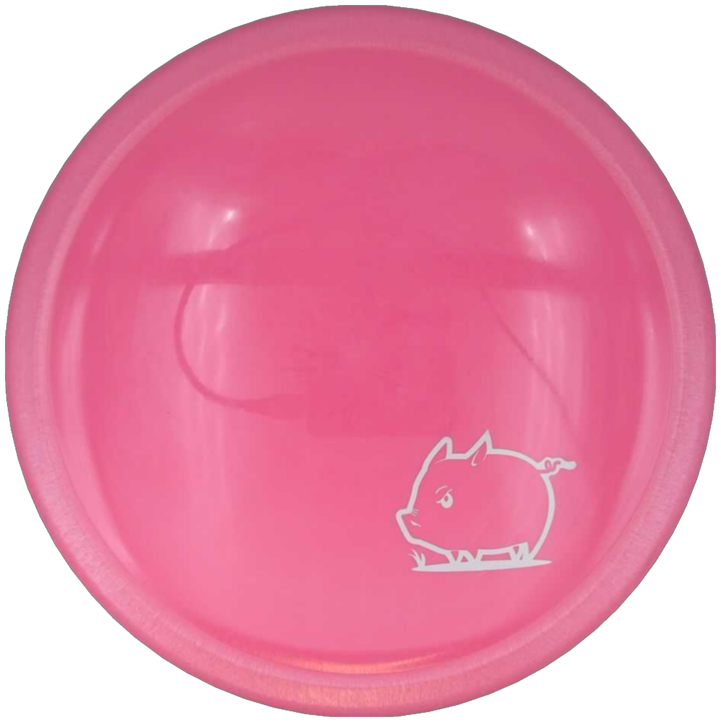 Star Pig - Mini Pig
