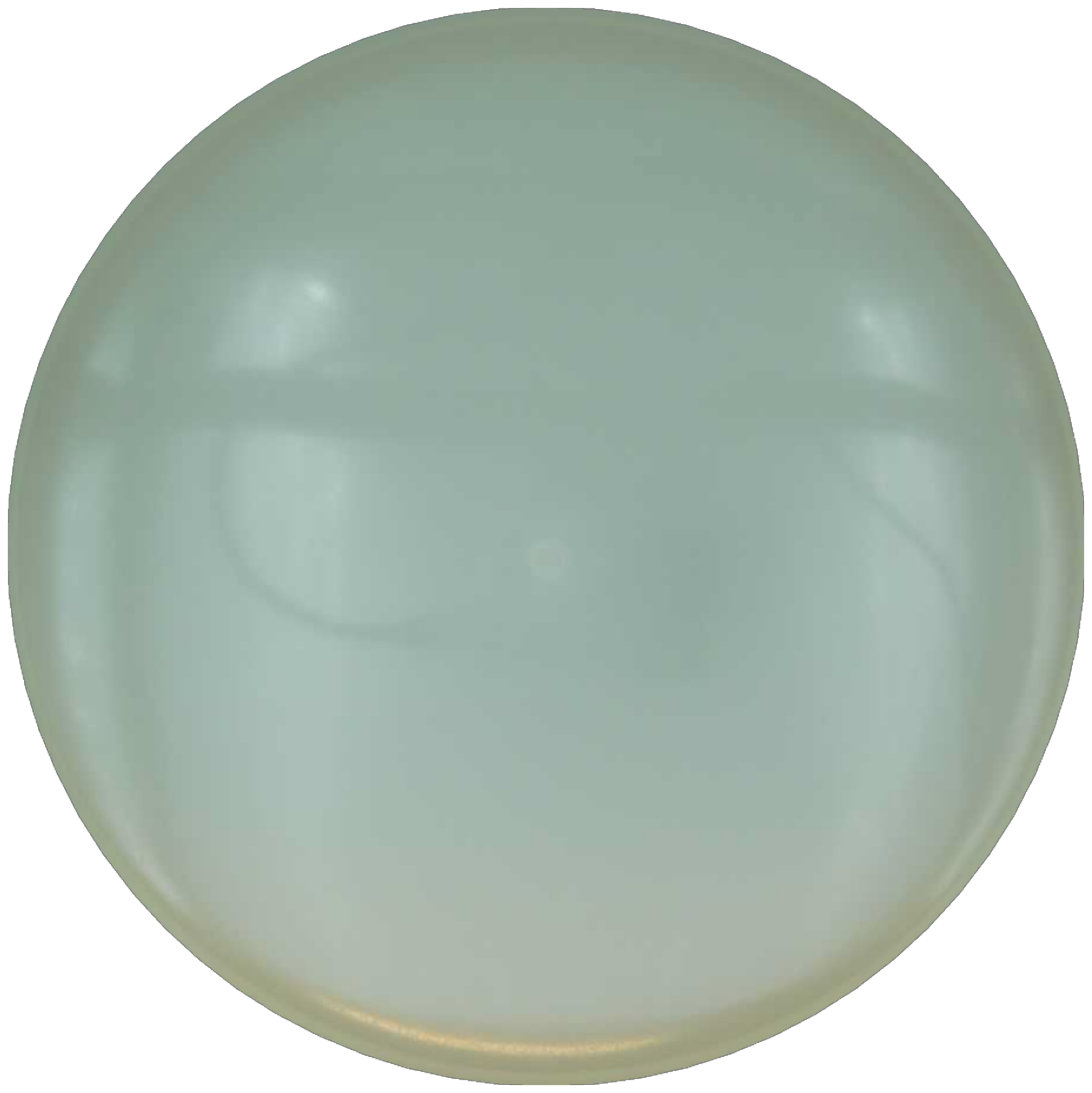 Total Eclipse Proxy Blank