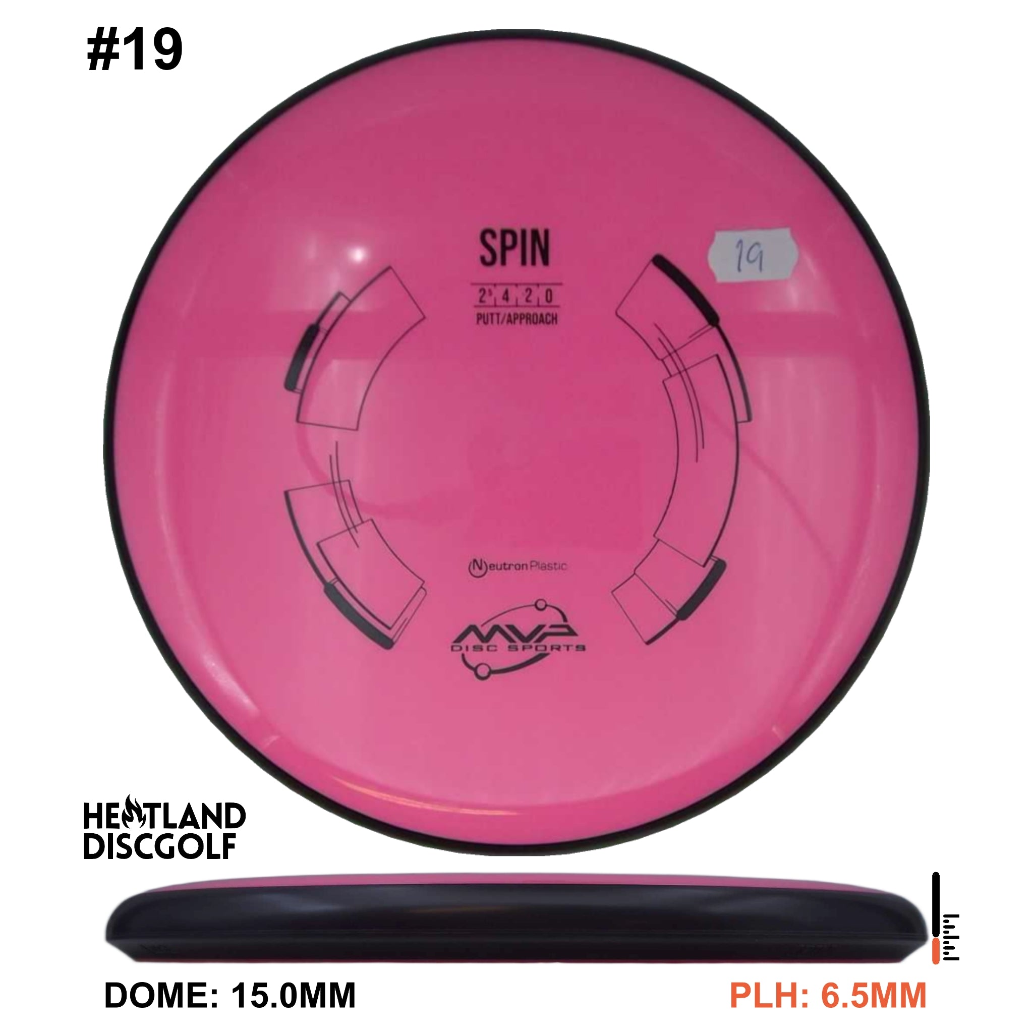 Neutron Spin - Classic