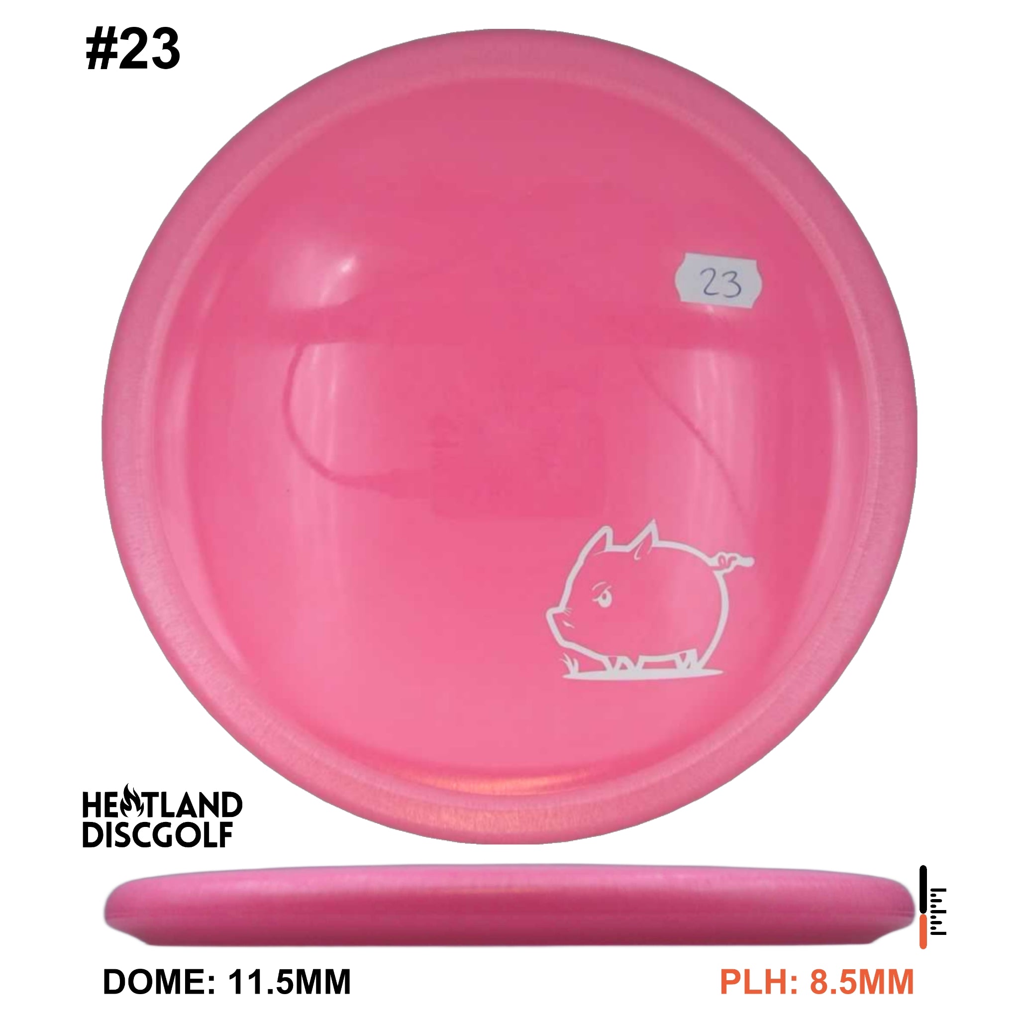 Star Pig - Mini Pig