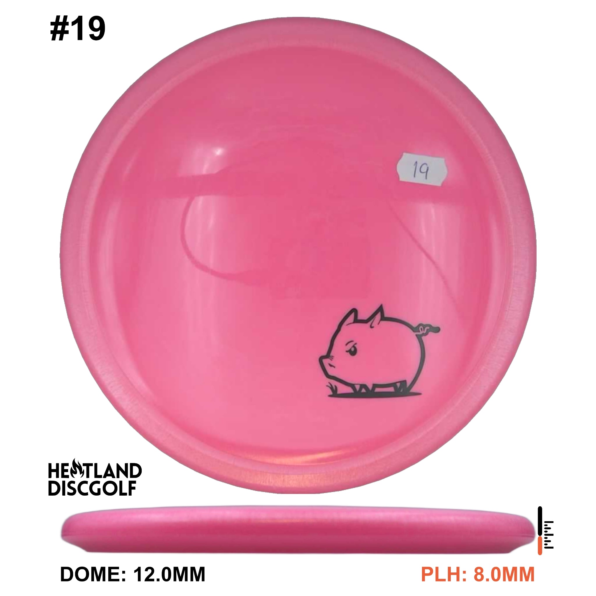 Star Pig - Mini Pig