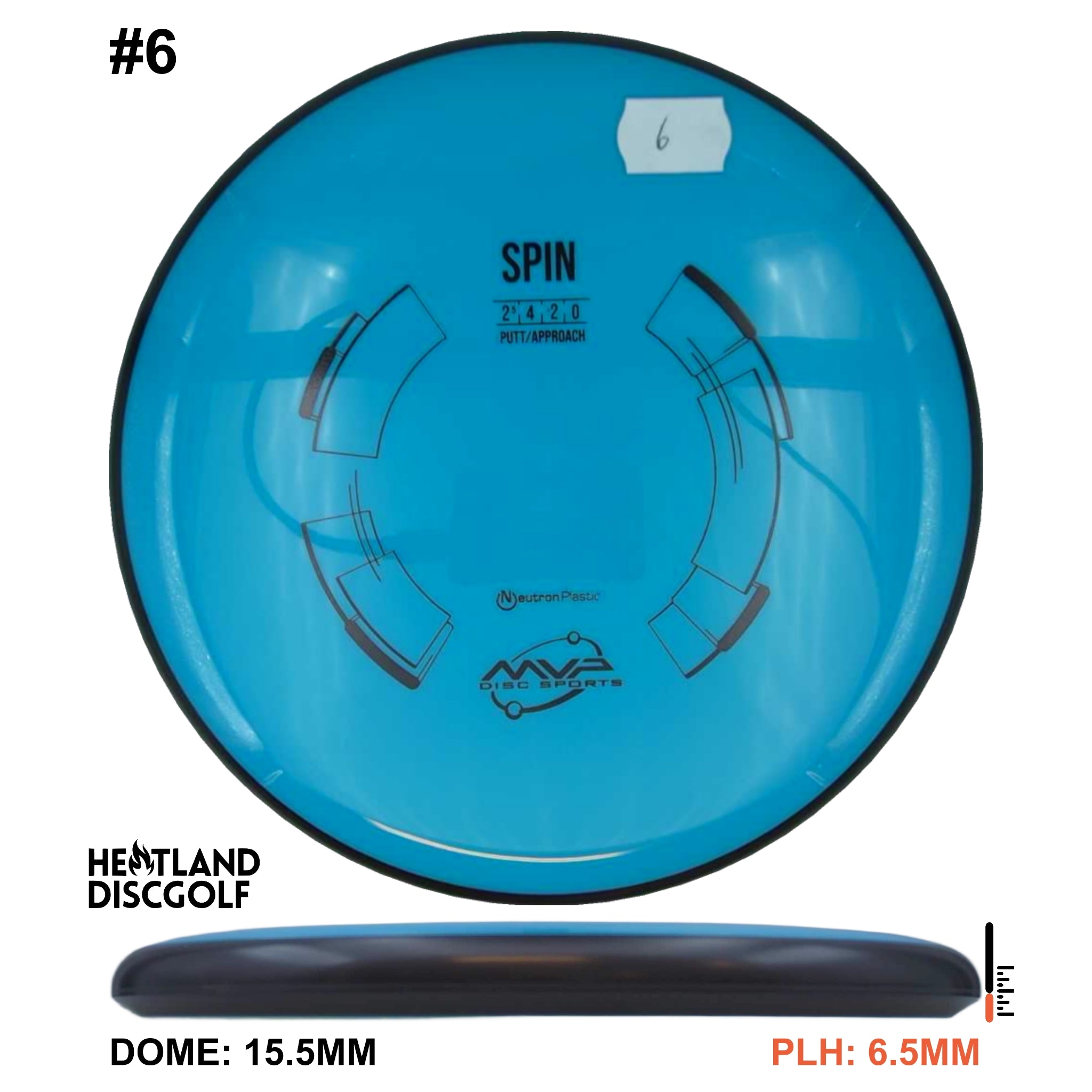Neutron Spin