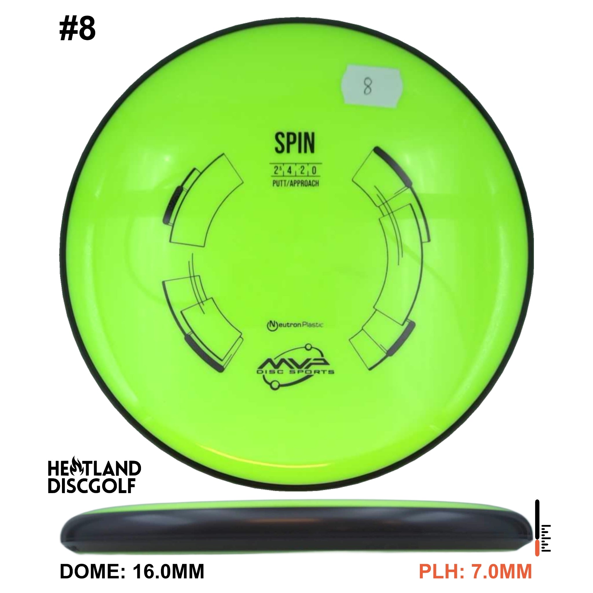 Neutron Spin