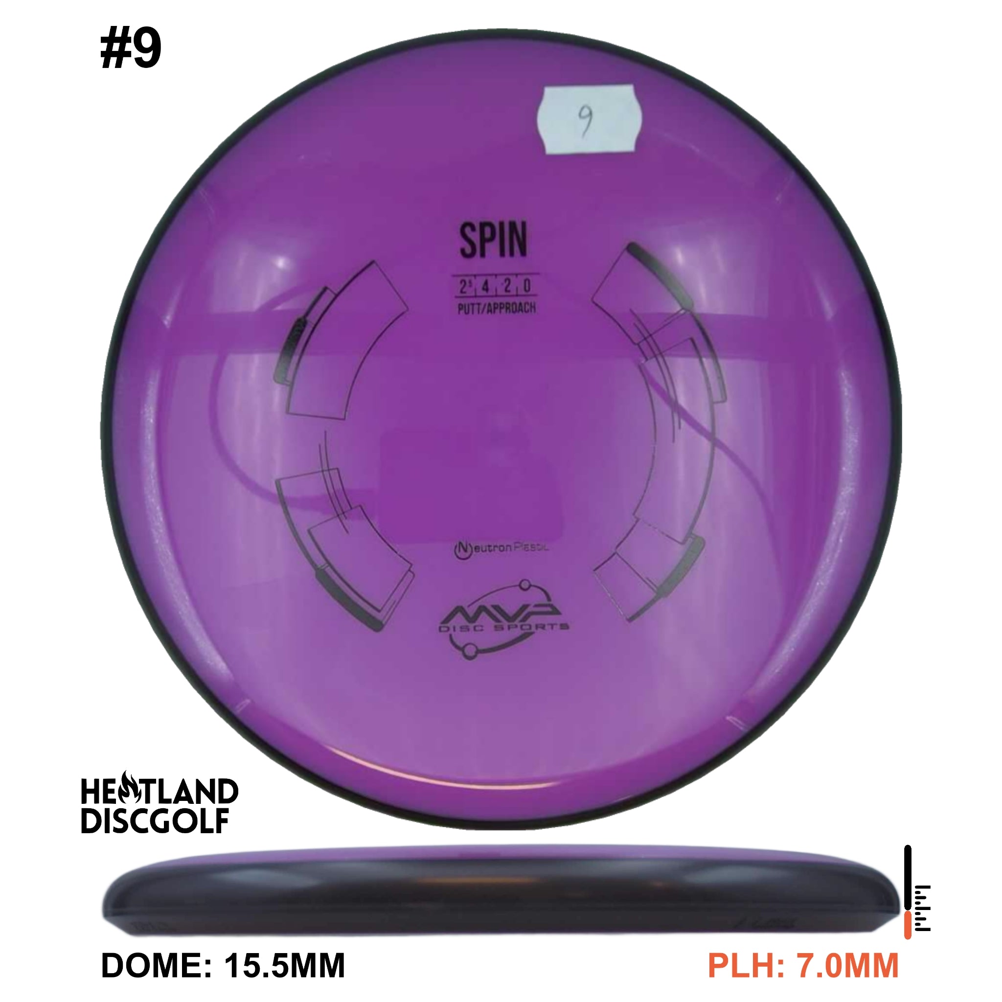 Neutron Spin