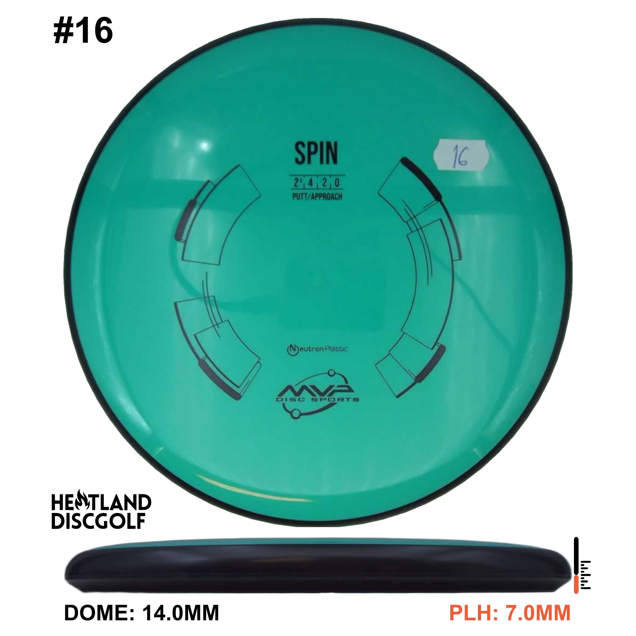 Neutron Spin - Classic