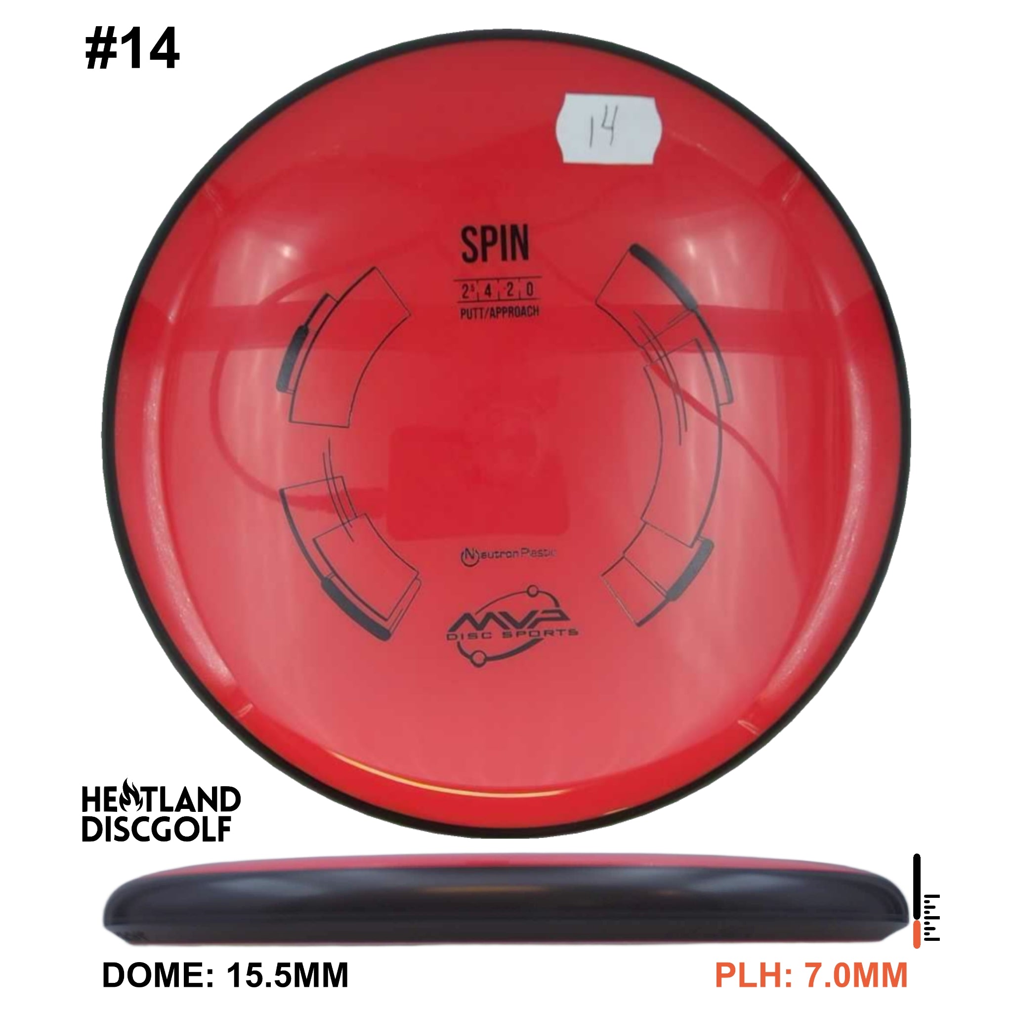 Neutron Spin